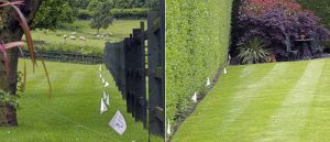 cat fence with training flags