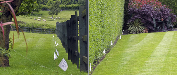 Outdoor cat training with white boundary flags for invisible cat fence system