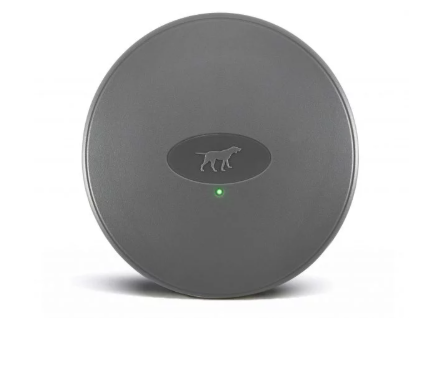 Close-up of the MB1 indoor cat fence transmitter from CatFence UK, used for wireless indoor containment.